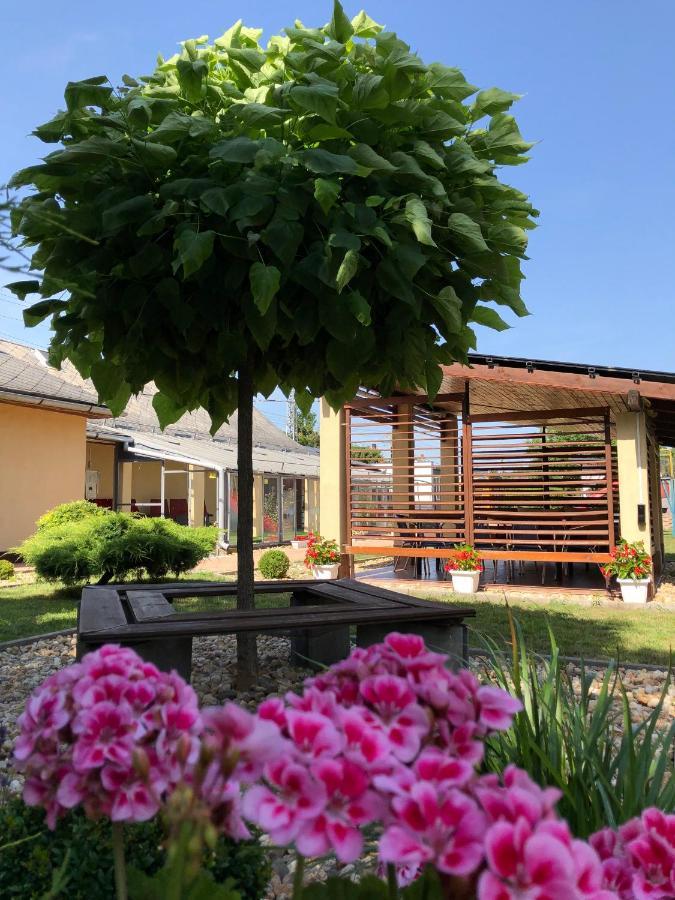 Green Corner Wellness Püspökladány Екстериор снимка