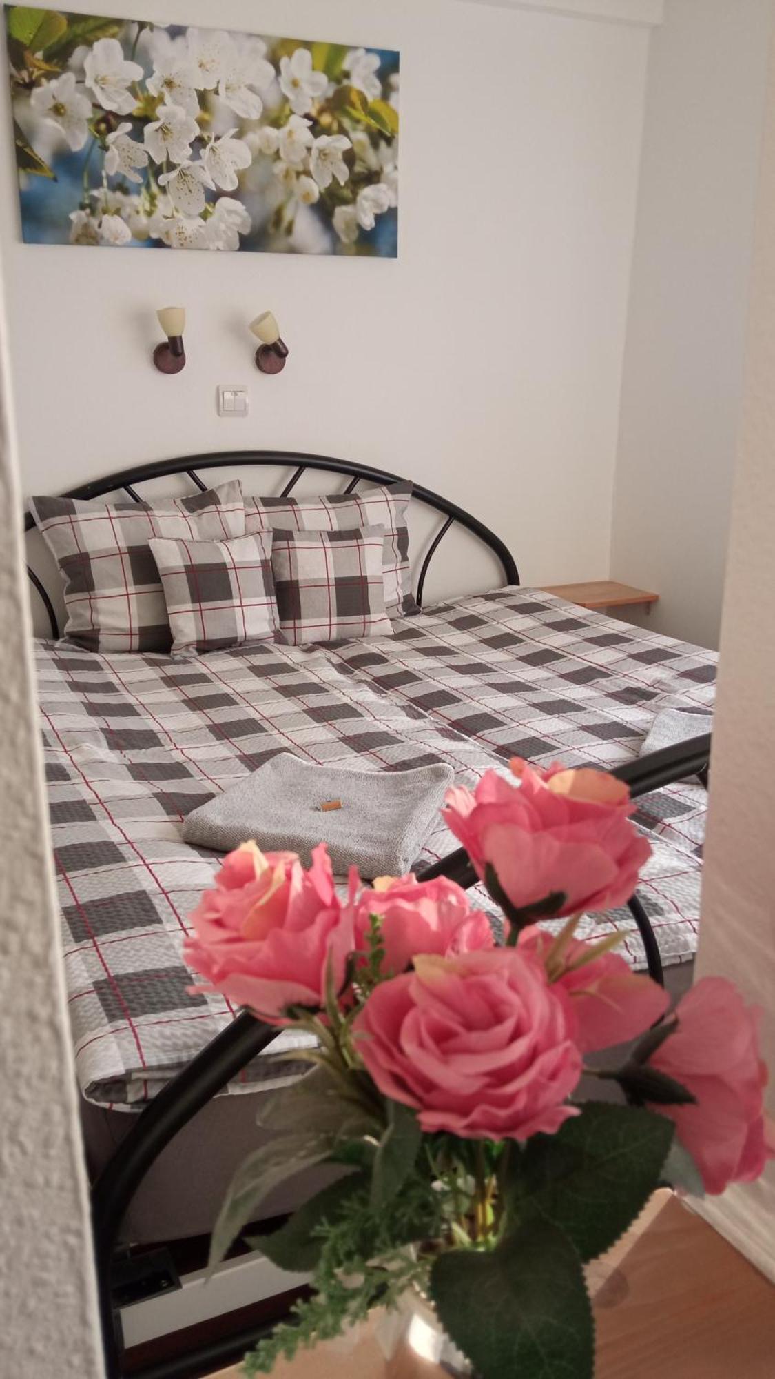 Green Corner Wellness Püspökladány Екстериор снимка